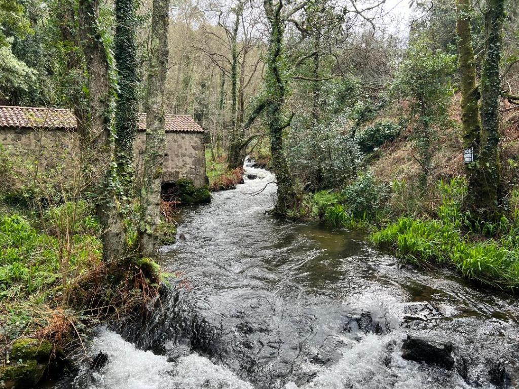 Blessings of Peace (First day in Spain)
